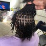 Micro/mini locs (twist )