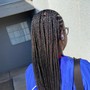 Medium Tribal Braids