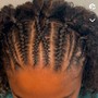 Feed in Braids (2)