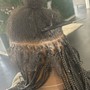 Knotless braids ( L behind length )