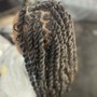 Loc Re-twist & Feed- In BRAID Loc Style