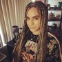 Starter Instant Crochet Locs with added teasing ($85/hr)