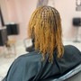 Micro Locs establishment, no hair added