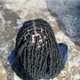 Butterfly locs -mid back