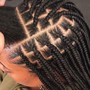 Box Braids large knottless