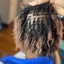 Micro Locs(w/o extensions)