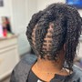 Micro/Mini Twists