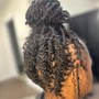 Micro/Mini Twists