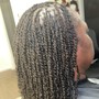 Micro/Mini Twists