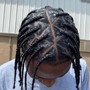 Butterfly locs (neck or shoulder length )