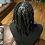 Starter Locs