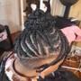 Braids ponytail/bun