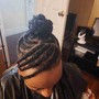 Braids ponytail/bun