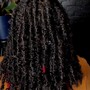 Basic Crochet Braids