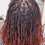 Tree Braids