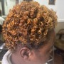 Root Touch Up