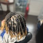 Starter Locs