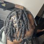 Starter Locs