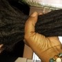 Loc Extensions Installation