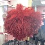 Natural Perm Rods