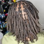 Starter Locs