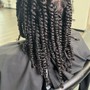 Natural Hair Braids & Twists