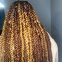 Braids (Fade)