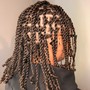 Two Strand Twists