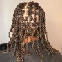 Two Strand Twists