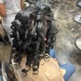 Versatile Sew In