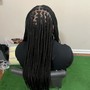 6-8 Stitch Braids (MID BACK LENGTH)