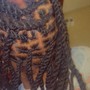 Loc Style (2strand)