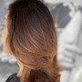 Hair Color/Highlights/Balayage Consultation