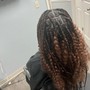 Individual Braids