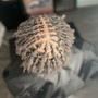 Starter Locs (Instant)