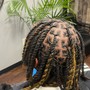 Locs roots color touch up