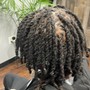 Afroloc Loc Rejuvenator Detox, Hydration Steam Treatment,  retwist and basic style