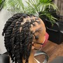 Afroloc Loc Rejuvenator Detox, Hydration Steam Treatment,  retwist and basic style