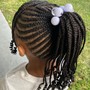 Kids Braided Ponytail