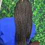 Tree Braids