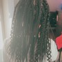 6 months Locs Retwist and style