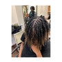 Plaits (Individual Braids)