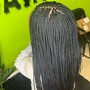 Small knotless braids (midback)