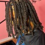 Starter locs