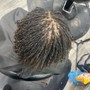 Root Touch Up