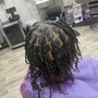 Root Touch Up