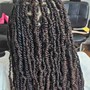 Medium Havana Twists