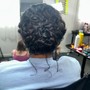 Special  Occasion Updo