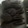 Starter Loc Coils