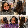 Pre- loop Crochet Braids